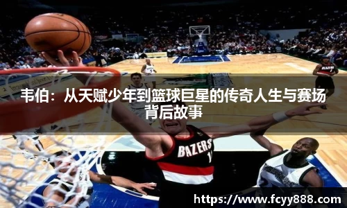 韦伯：从天赋少年到篮球巨星的传奇人生与赛场背后故事