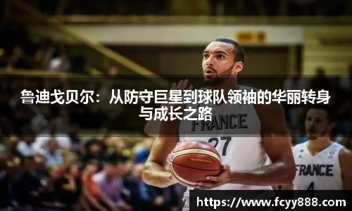 bsports官网入口
